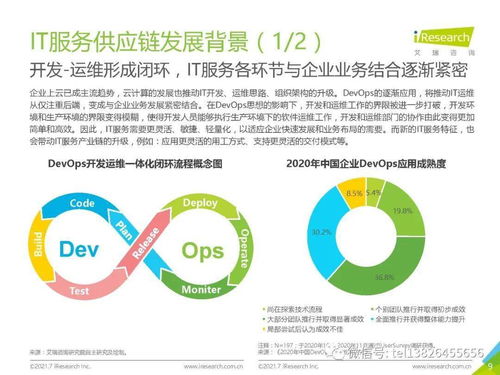 2021年中國IT服務(wù)供應(yīng)鏈數(shù)字化升級研究報(bào)告 網(wǎng)絡(luò)技術(shù)服務(wù)領(lǐng)域深度解析